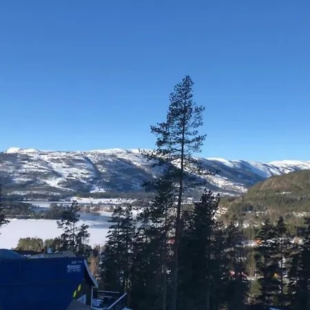 Vradal Nordlys