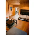 Vradal Nordlys Villa *